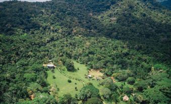 aerial view of a lush green forested hillside with a small village nestled in the hills at Bocawina Rainforest Resort