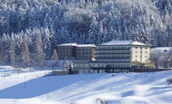 Hotel Bad Ramsach