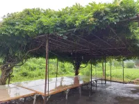 Hongcheon Green Motel