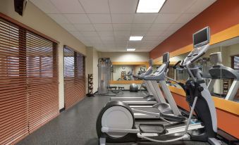 a well - equipped fitness center with various exercise equipment , including treadmills and stationary bikes , under bright lights at Hilton Garden Inn Troy