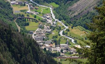 Historic Hotel Albrici