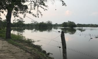 Elephant Lake Yala