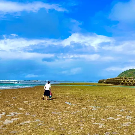 Amami Oshima a Mansion with a Coral Island and a