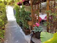 Hotel Amalfitana Hotels in Pisa