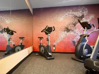 Best Western Pearl City Inn - salle de sport