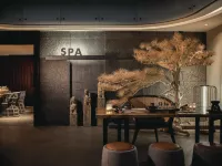 三亞海棠灣仁恆皇冠假日度假酒店 - SPA