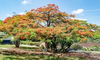 Pousada Villa do Sossego