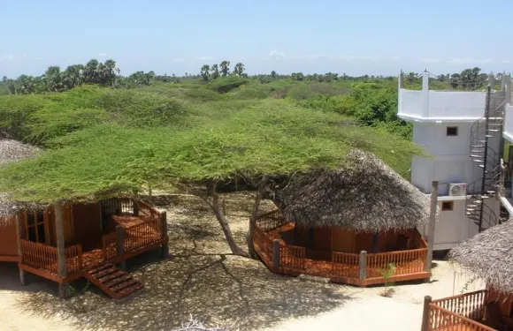 馬納爾貝殼海岸度假村