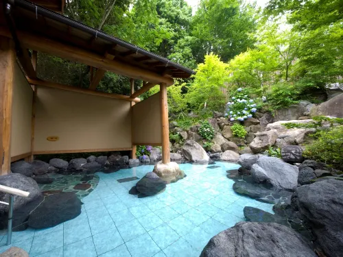 Ogoto Onsen Yunoyado Komolebi - WiFi