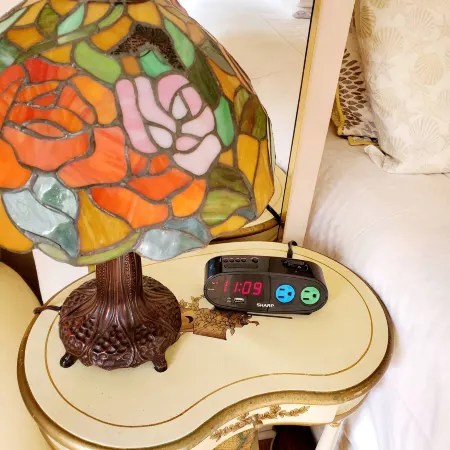 Cozy Yellow Queen Bed by Yale U