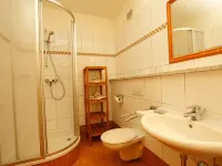 Apparthotel Panorama Hotels in Flachau