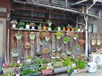Enjoy a Rich Time at Ond Iroriva House with Art JR狩留賀濱站附近的飯店