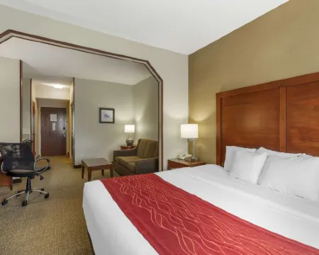 Comfort Inn & Suites Hotels in Rapid City