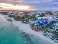 The Carmen Hotel - Ocean Front Hotels in Playa del Carmen