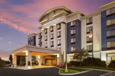 SpringHill Suites Hagerstown Hotels in Halfway