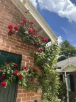 Rowan Brae Historic Guesthouse Hotels in Blackheath