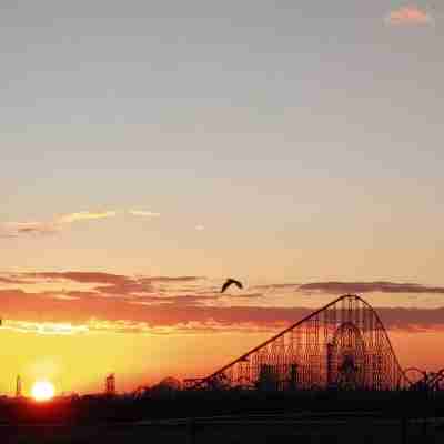 旅館ながしま Others