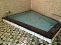 Shinwaka Lodge - Hot Springs