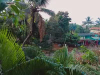 Asian Paradise Comfort
