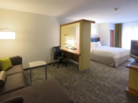 スプリングヒル・スイート・バイ・マリオット・アルバニー - コロニー コロニーのホテル