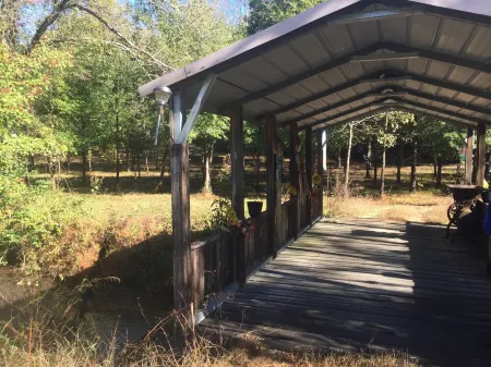 Cozy hand-built cabin in the heart of wine country, near mountains and Mayberry