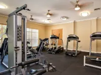 1st Floor Condo,  updated one bedroom condo Sleeps 4. The Avalon at Clearwater.