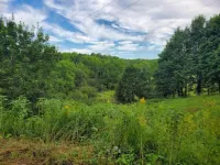 Peaceful, Centrally Located Home with Seasonal River Views