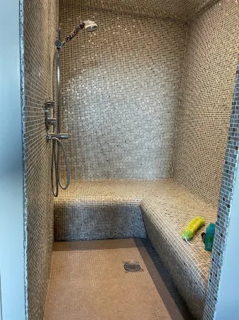 Large architect-designed house