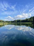 Cabin, cottages, fishing, Hunting, Trails, nature, creek