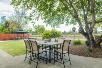 Vineyard Views in the Heart of the Napa Valley