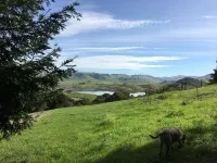 Point Reyes  Getaway in Secluded Nicasio Valley