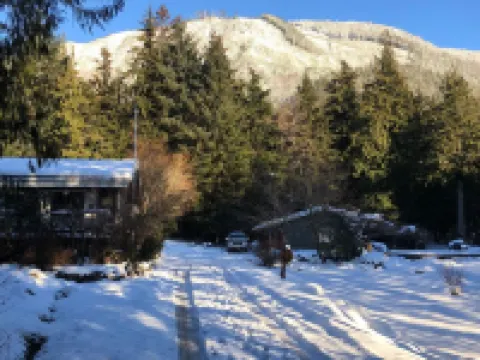 Diamond House, cozy home in a park-like setting Hotels in Ketchikan