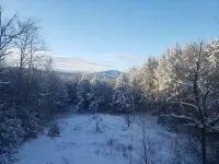 10 min from Stratton! Log Cabin w/ Beautiful Views