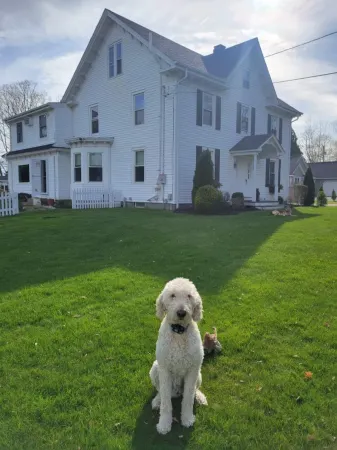 Historic quaint property. Enjoy a day at the beach then a dip in pool and relax.