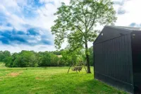 Meadow View Tiny Home Style Cabin near the Buffalo River. Pet Friendly