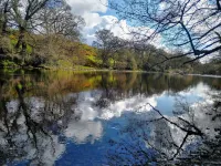 The Bothy-Detached cottage,1 mile from Barnard Castle, Pet Friendly, EV Charger Hotels in Marwood
