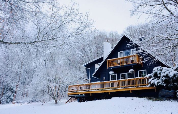 Cozy Hillside Chalet w/ Hot Tub and Firepit - Greek Peak/Cortland/Ithaca