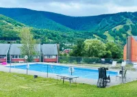 SPECTACULAR Hunter Mountain Views, INCREDIBLE LOCATION-2 minutes to slopes !!