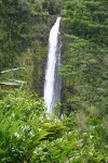 Nice and Spacious Studio Apartment On The Large Golf Course In Hilo