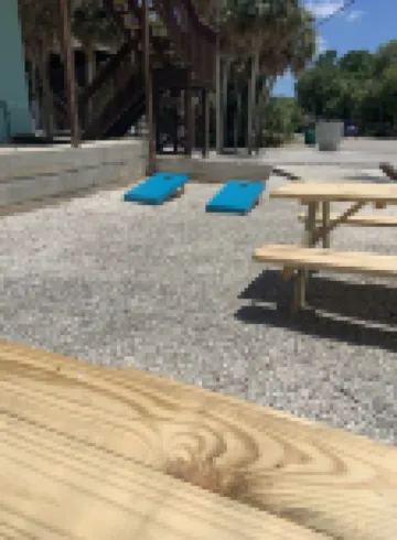 Walk to Gulf Beach Access! Coastal Studio – Starfish Stays 2C Dog Friendly.