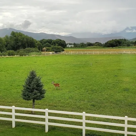 LUXURY Loft on Multi-Million 4 acre Estate in charming, Swiss town
