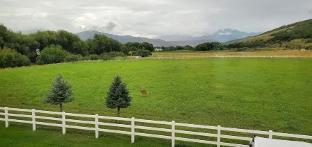 LUXURY Loft on Multi-Million 4 acre Estate in charming, Swiss town