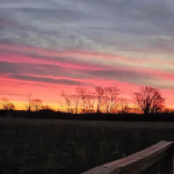 Doniphan/Current River 3br/2ba Rural Getaway 50 acre Ryan's Ranch