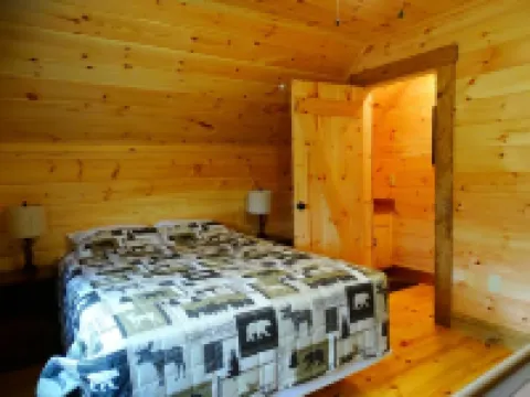 Cabin near Saxton/Raystown KOA and minutes from Trough Creek and Raystown Lake.