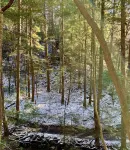 Larger Home in Tracy City, TN Tiny Home Lake & Community-Retreat at Water's Edge