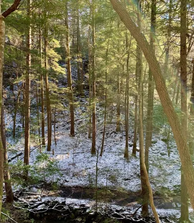 Larger Home in Tracy City, TN Tiny Home Lake & Community-Retreat at Water's Edge