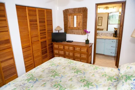 Kahaluu Bay Across from Snorkel Beach - Awesome Ocean View Отели рядом с достопримечательностью «Уайт Сандс Виллидж»