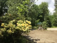 Rhody House: North Cascades Comfort in the Woods Hotels near Cascadian Farm Organic