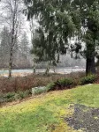 Cozy Cabin On The Sol Duc River Sleeps Four. Fully Supplied Kitchen And Linen's.