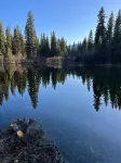 1920 Montana Quiet Log Cabin! Creek, fire pit, 10 ac. of wilderness/ Swan Valley